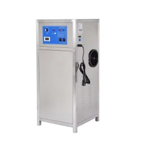 30g 40g 50g 60g 100g Air Source Ozone Generator for Sale Water Purifier Ozone Generator Water Treatment Machinery