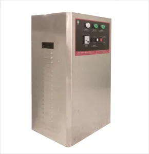 30g/H Air Source Ozone Generator 1 Year Warranty Water Treatment Machinery for Production Workshops