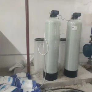 4000L/H Whole-House Water Softener with PLC, Gearbox, Ion Exchange, and Automatic Backwash