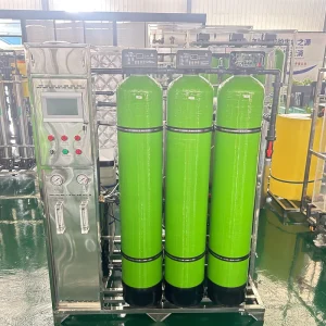 500L Customized Reverse Osmosis RO Water Treatment Equipment Purified Water System with 220V Motor
