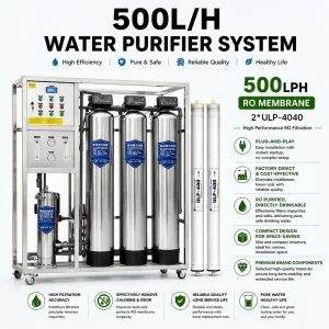500LPH Pressure Vessel Industrial RO Water Treatment System with Dosing Pumps