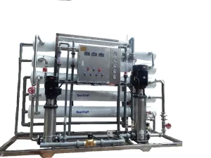 5T/H Double-Stage Reverse Osmosis System, 5000LPH Industrial High-Purity Water Treatment Plant