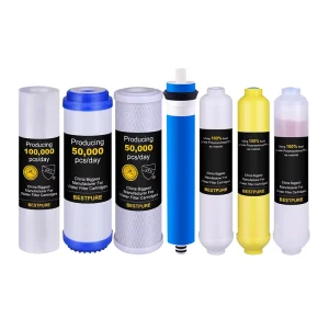 6-Stage RO System Alkaline Inline Water Filter with T33, Maifan Stone, and Activated Carbon