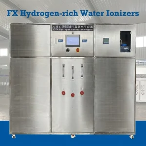 Alkaline Water Ionizer Japanese Hydrogen Water Machine PLC Technology Electrolytic Cell 2000L/Hour CE Certified