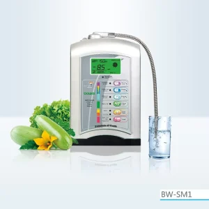 Alkaline Water Ionizer Machine SM1 with Two Water Outputs Alkaline Acidic Coconut Carbon Filter pH 6-11