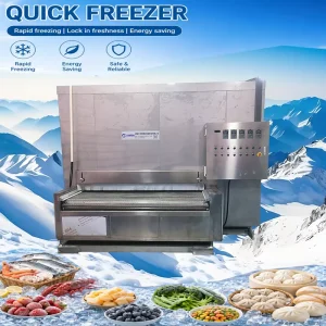 Automatic IQF Freezing System with 500 kg/h Capacity Blast Freezer Tunnel for Food Processing
