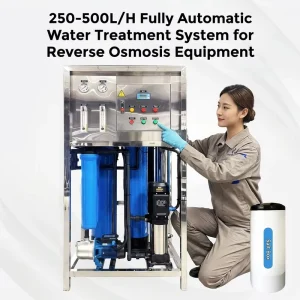 Automatic Reverse Osmosis Water Purification System 250L to 500L/H Water Treatment Plant for Commercial Use