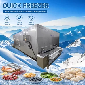 Automatic Spiral Freezer for Food Processing Quick Freezing System Food Grade