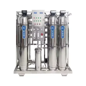 BNRO-1T Reverse Osmosis Water Filter System with PLC and Pump 1000L/Hour for Food and Beverage Filtration