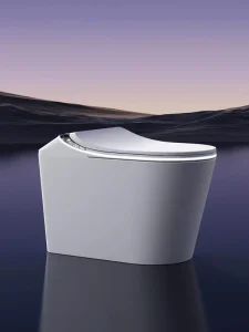 BTH HL080 Smart Toilet Ceramic Pre filter Women Washing Remote Control Voice Function IPX4 Waterproof Electrolytic Sterilization