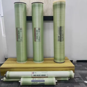 BW Industrial RO Membrane Filter Element 4040 8040 2521 for Water Treatment in Manufacturing Plants