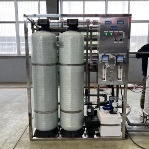 CE Certified 1000LPH Industrial Water Treatment Machinery RO Water Filter System for Filling Machine Fresh Water