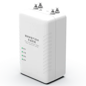 China Factory PEM SPE Hydrogen Generator Cell Gas Electrolyzer Tech Ionized Water B2B Spare Parts