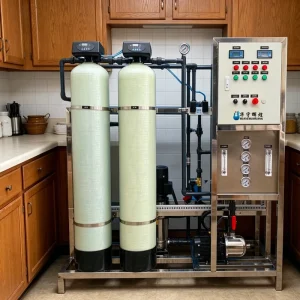 Commercial 250LPH-500LPH Industrial Reverse Osmosis Water Treatment System and RO Filter