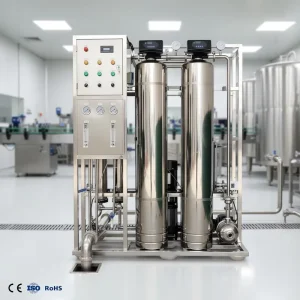 Commercial 500 LPH RO Water Purifier for Food Industry with PLC Automatic Control