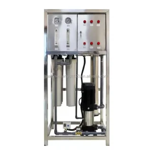 Commercial Compact 250 L/H RO Reverse Osmosis PLC Water Purification System with Pressure Vessel Pump