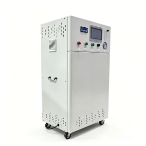 Commercial Hydrogen-Rich Water System for Large-Scale Vegetable Irrigation with Continuous Electrolysis