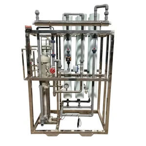 Commercial Reverse Osmosis Water Filtration System 1T Per Hour Ro Water System Dialysis Custom Water Machinery Ro Plant