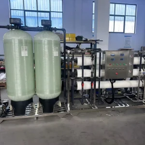 Custom 250LPH-10000L/H CE Certificated 99.6% Remove Salty RO Water Purification System for Industrial Use