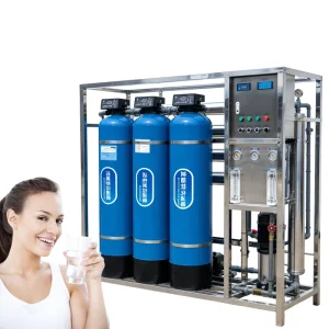 Custom Underground Well Water Soften System 1000L/H SS304 Reverse Osmosis Water Filter Pump for Drinking 24 Hours Automatic