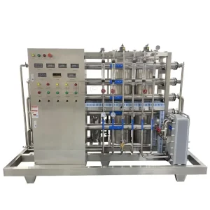 Customized Cosmetic Machinery and Equipment Two-Stage RO + EDI Ultrapure Water Treatment Equipment