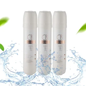 Descale Carbon Block Filter Anti Scaling Carbon Rod Custom Activated Carbon Water Filter