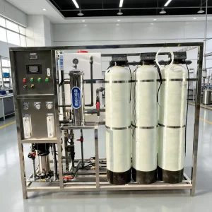 Drinking Water Treatment Equipment Reverse Osmosis Pump Engine 1000L/Hour SS304 Mineral Water Manufacturing Equipment