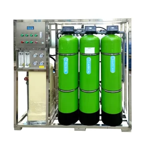 Efficient 1000L h Portable Borehole RO Water Treatment System with 1 Year Warranty Eliminate Limescale & Osmosis