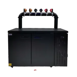Factory Commercial Air-Cooled Stainless Steel Electric Beer Dispenser 160W/500W with Two Ends and Four-Barrel Design