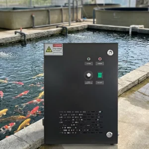 Fish Pond and Swimming Pool Disinfection Water Treatment Machinery Ozone Generator Pump PLC