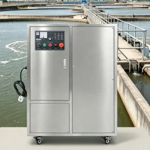 Flygoo Ozone Wastewater Purifier Factory Sewage Water Treatment Machinery Industrial 200g Ozone Generator for Water