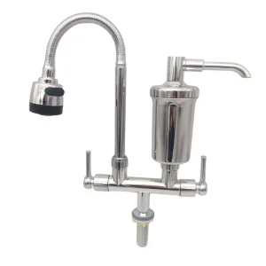 Foreign Trade Kitchen Water Purifier Filter Core Faucet Dual Handle Light Luxury Design Deck Mounted Household Sink Single Cold