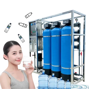 Fully Automatic 1000L/H Reverse Osmosis Water Filter System with Pump PLC Engine for Whole House Filtration