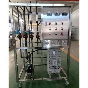 Hospital EDI Water Purifier Ultrapure Water Machine Reverse Osmosis System 1000 Liters Per Hour Water Treatment