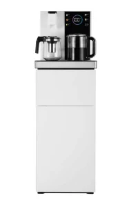 Hot and Cold Compressor-Cooled Electric Tea Bar Water Dispenser with Kettle