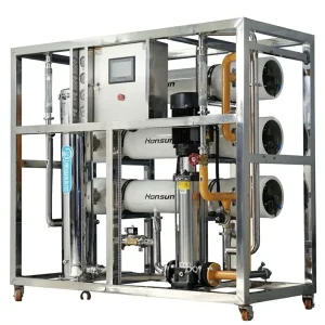 Industrial 3T H RO Water Treatment System 3000LPH 18000GPD Reverse Osmosis Plant for Commercial Drinking Water Production