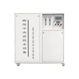 Industrial Brackish Water Reverse Osmosis Desalination System 250LPH 1000LPH