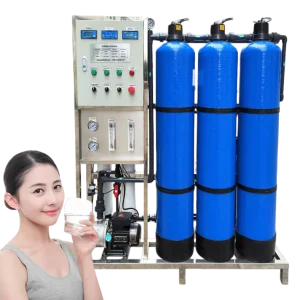 Industrial Commercial Reverse Osmosis Water Filter System PLC Pump Pressure Vessel SS304 24/7 Automatic