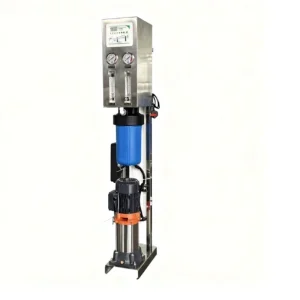 Industrial Dual-Tank Filter Skid for Factory Water Purification