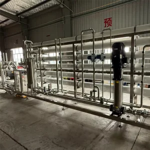 Industrial RO Reverse Purified Water Equipment Filter Water Treatment System
