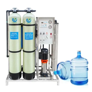 Industry Water Treatment Equipment 500LPH Reverse Osmosis Water Treatment for Drinking Water