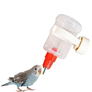 Leak Proof Lightweight Parrot Water Bottle Automatic Drinking Dispenser with Plastic Tube for Parrots and Small Birds