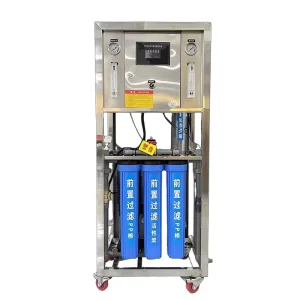 Low Energy 250 500 1000 LPH Water Treatment Machine Plant Water Purification Reverse Osmosis System