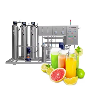 Mineral Drinking Water Treatment Equipment Potable RO Pure Water Treatment System Machinery