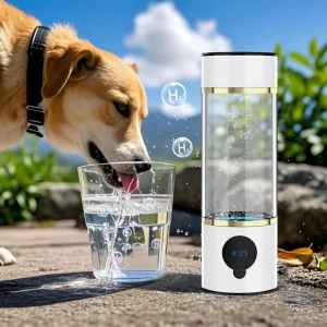 OEM Portable Rechargeable Hydrogen Rich Water Bottle Generator for Home and Travel