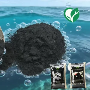 Premium Coconut Shell Clean Water Activated Carbon for Water Purification Filtration