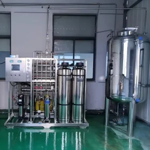 Professional Stainless Steel RO Plant for Pharm Water Treatment for Singapore Area