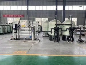 Pure Water Machine PLC Full Automatic Secondary Reverse Osmosis Equipment Large Reverse Osmosis Water Treatment System 380V 10