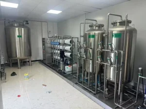 Purified Water Filtration System Medical Biological EDI Ultrapure Water Equipment Water Treatment Machine