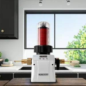 RL-Q01A Electric Automatic Backwashable Disk Water Prefilter for Household Use